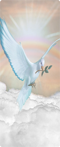 Dove Clouds Bronze